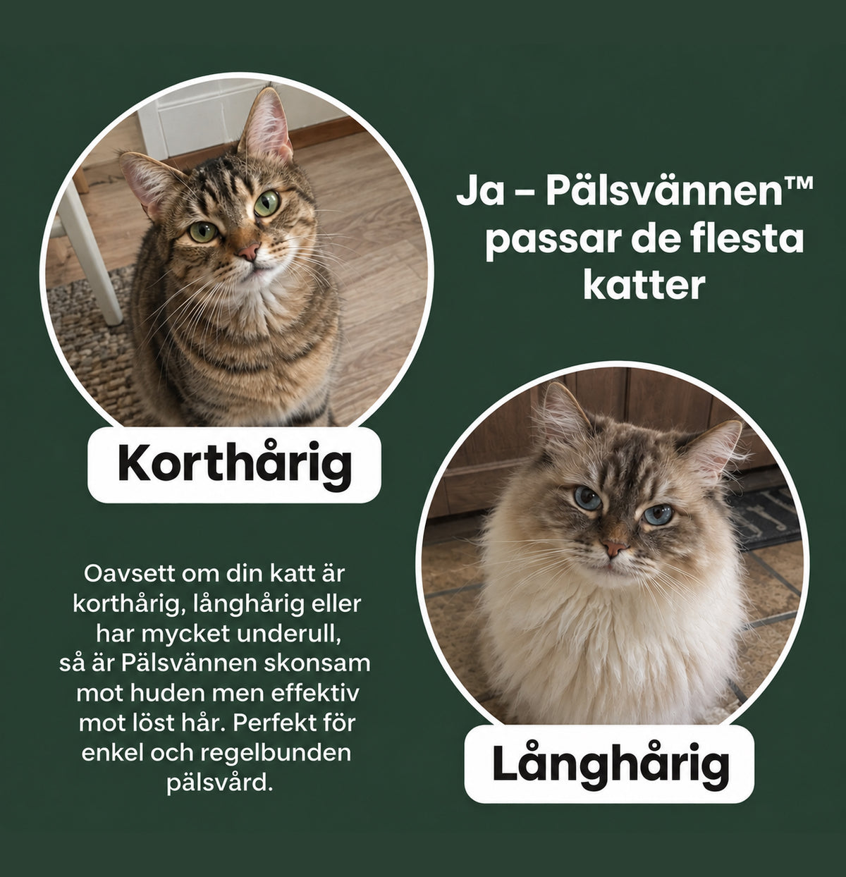 Pälsvännen - En enklare väg till en mjuk, ren och välvårdad päls